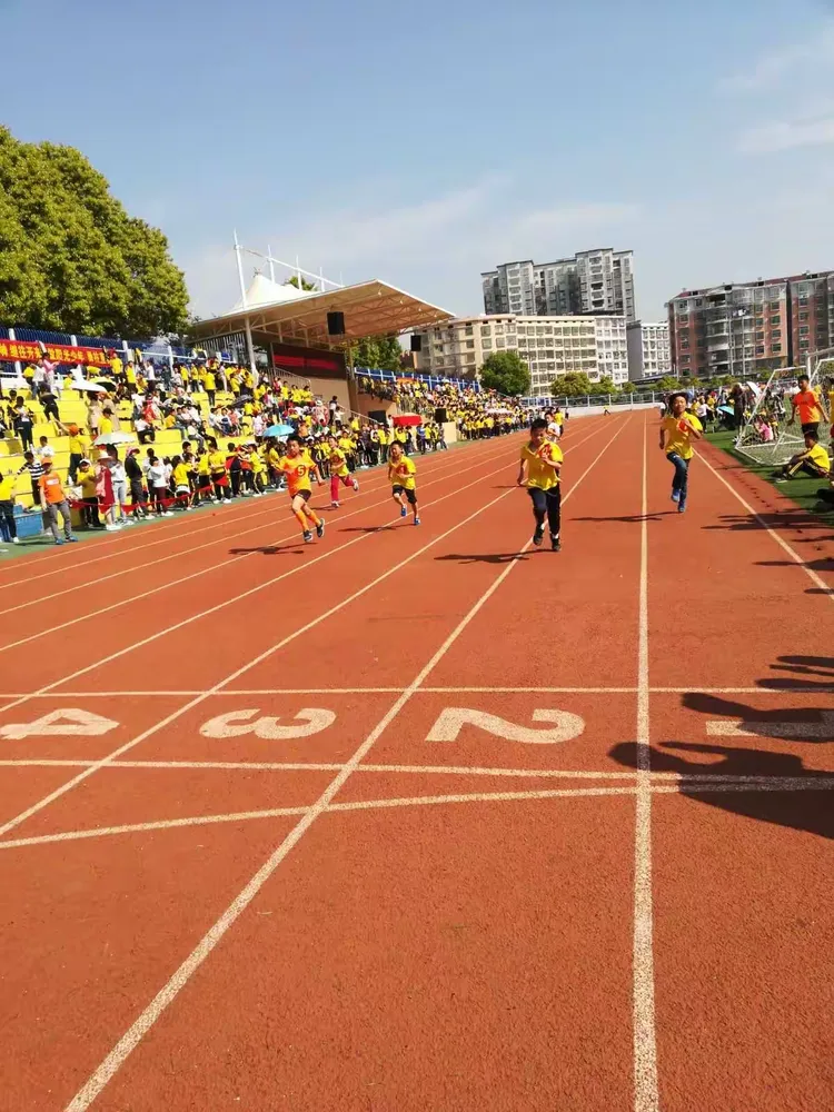 里昂团结拼搏，追赶脚步持续迅猛的简单介绍