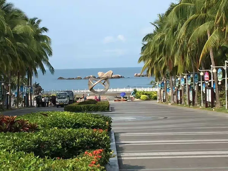 包含三亚椰岛主场告捷，排名稳步上升的词条