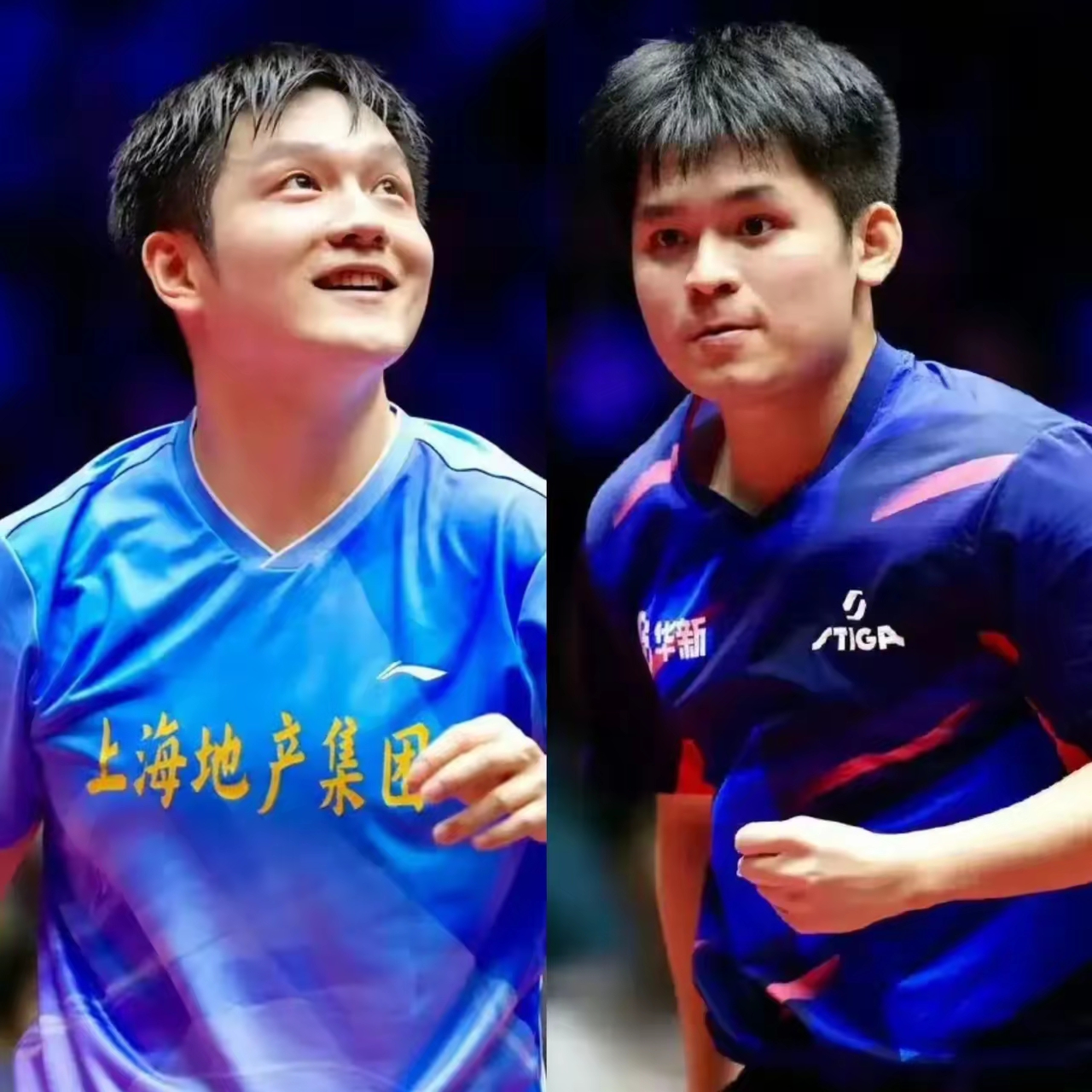 英格兰队横扫日本队，樊振东状态火热的简单介绍