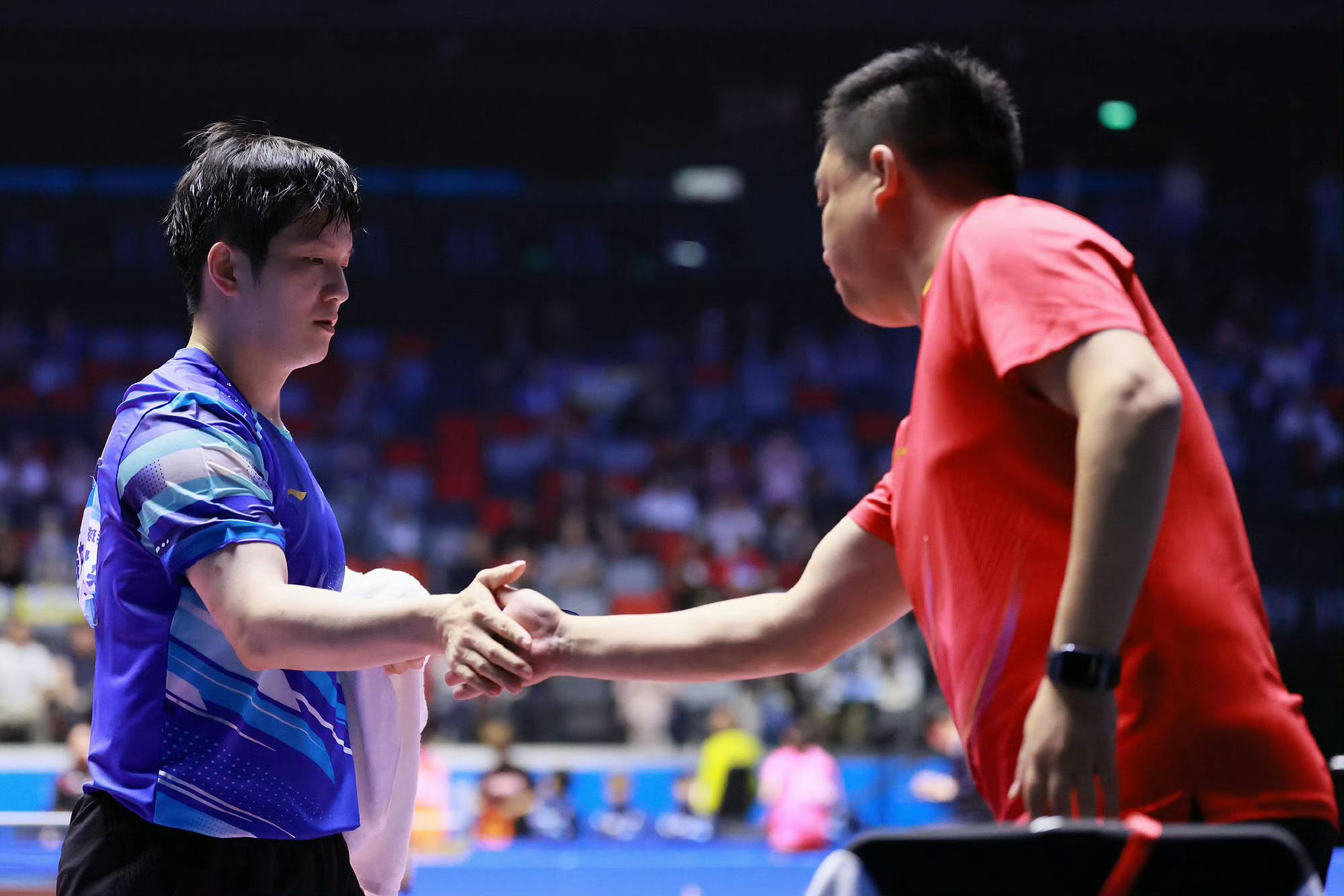 英格兰队横扫日本队，樊振东状态火热的简单介绍