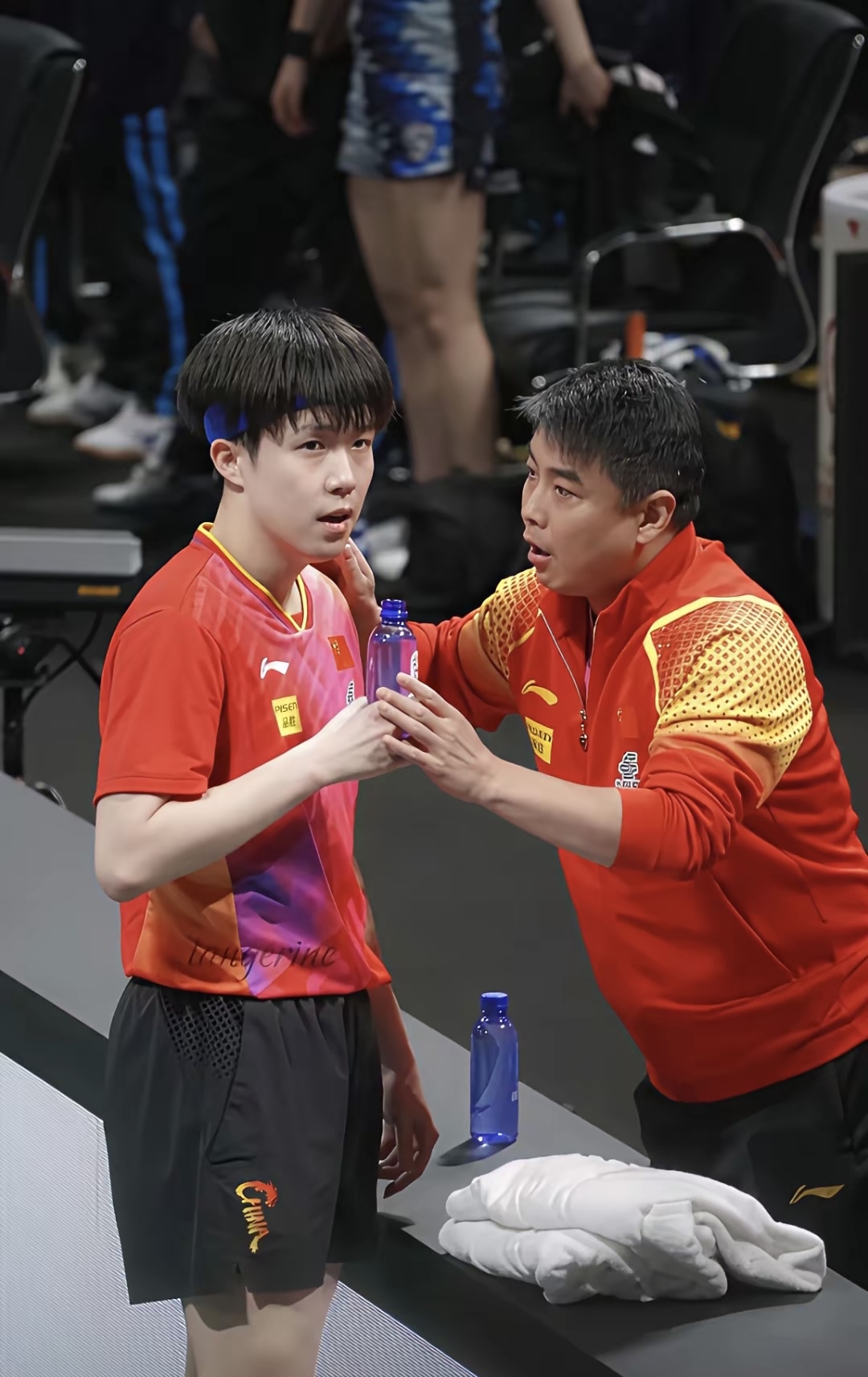 德国乒乓球队险胜中国乒乓球队，王皓一己之力扛起全队的简单介绍